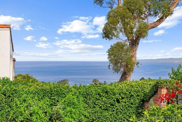 MLS #250044159SD image #44