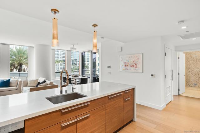 MLS #250044639SD image #8