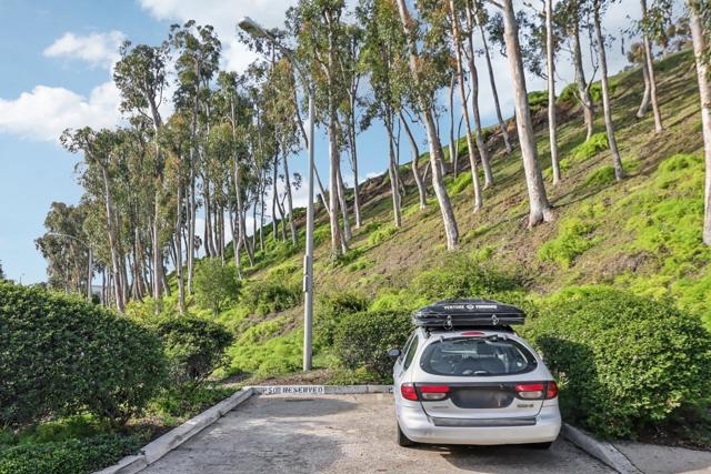 MLS #250044760SD image #33