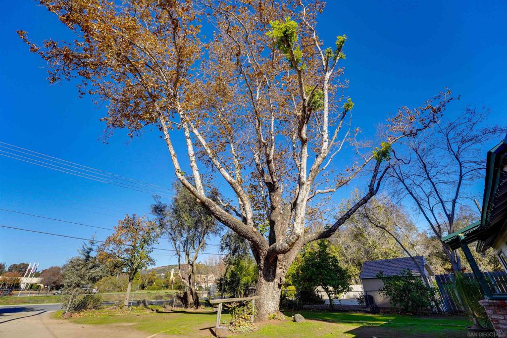 MLS #250045454SD image #3