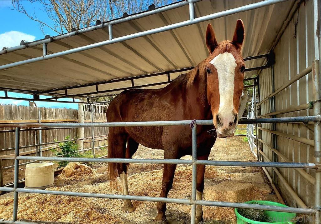 MLS #250045454SD image #8