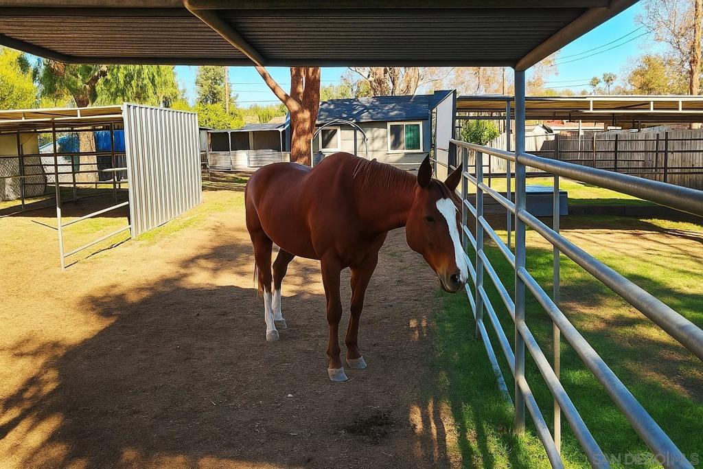 MLS #250045454SD image #9