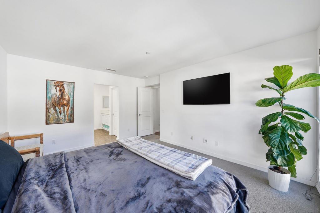 MLS #250045486SD image #12