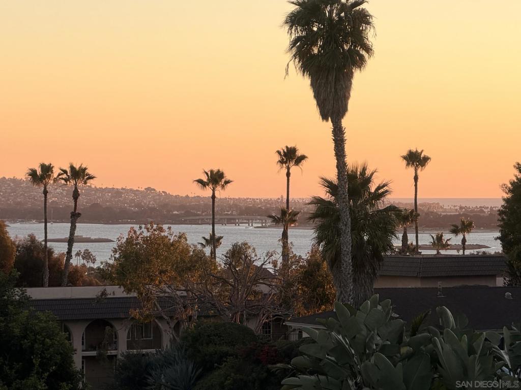 MLS #250045498SD image #33