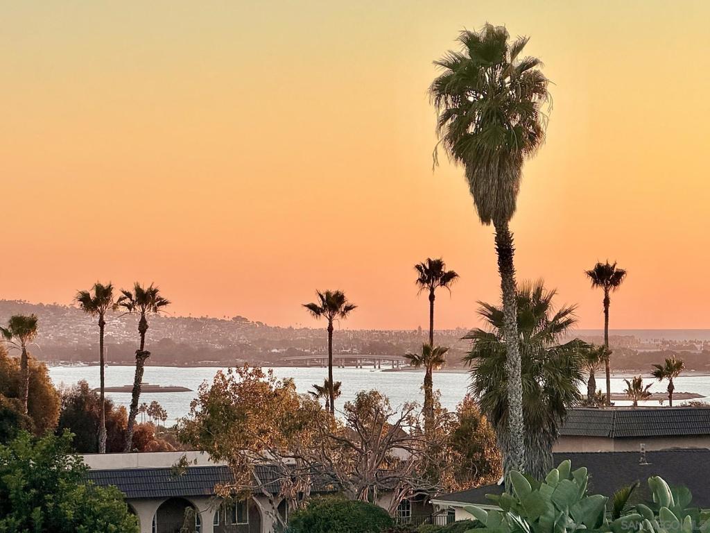 MLS #250045498SD image #34