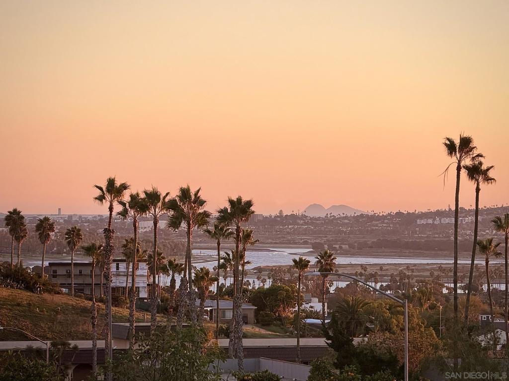 MLS #250045498SD image #35