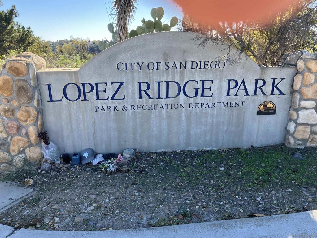 MLS #250045677SD image #35