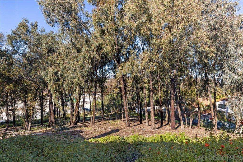 MLS #250045826SD image #31