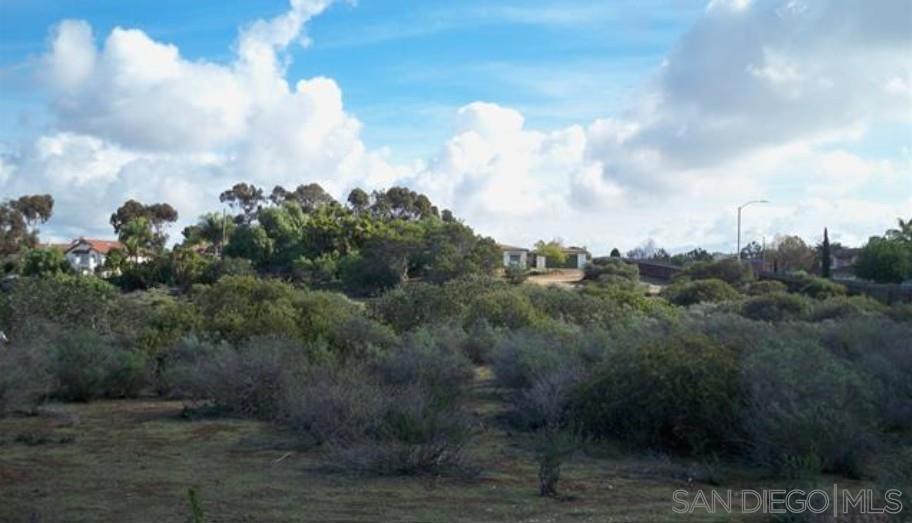 MLS #250045903SD image #2