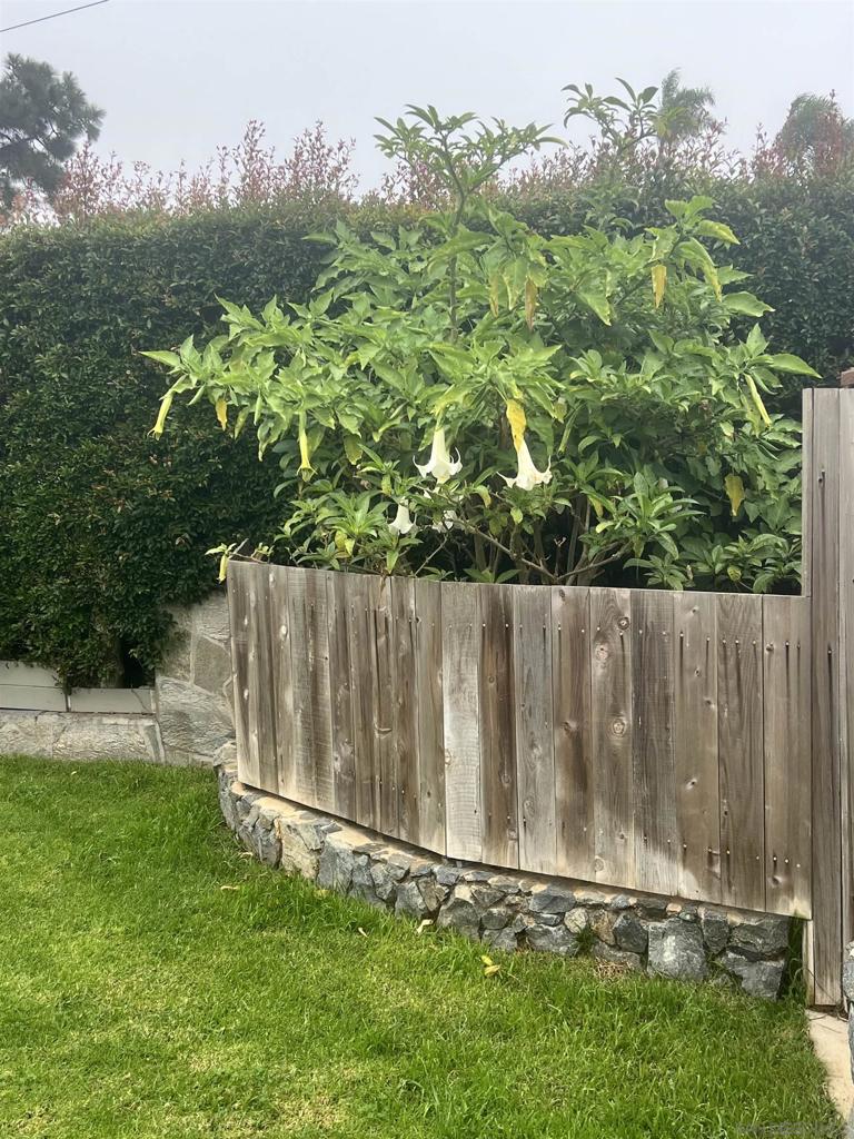 MLS #250045941SD image #29