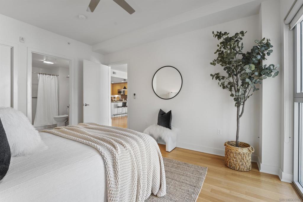 MLS #250046294SD image #9