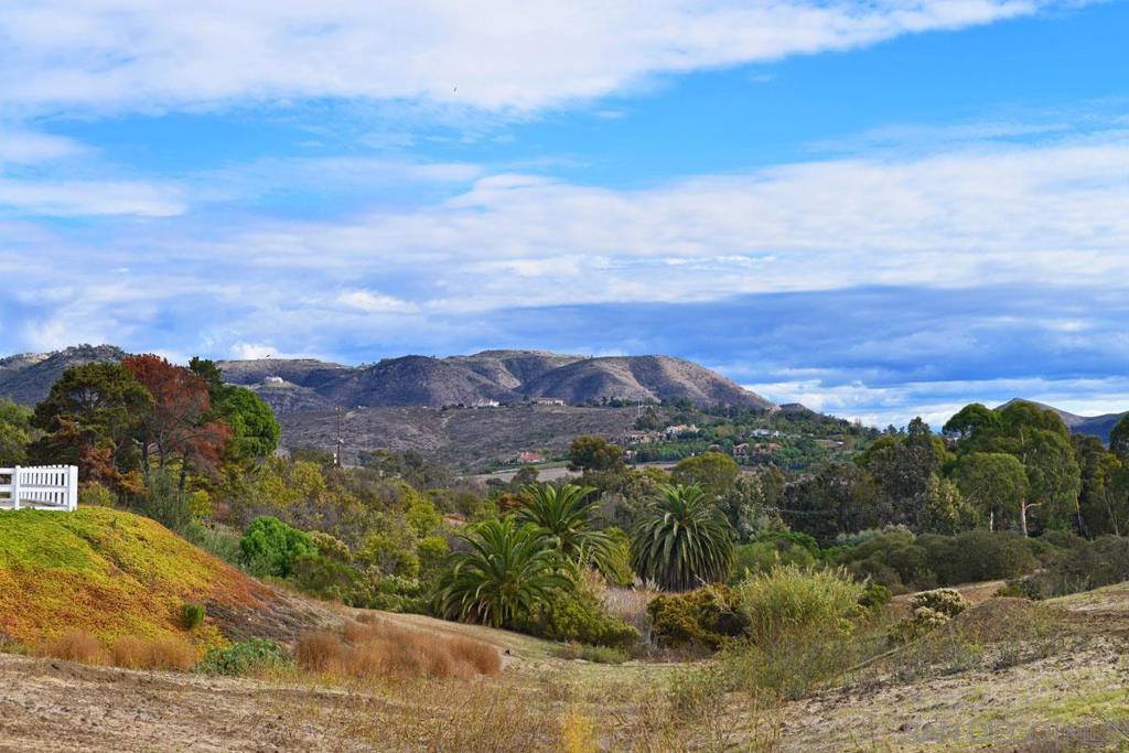 MLS #250046306SD image #6