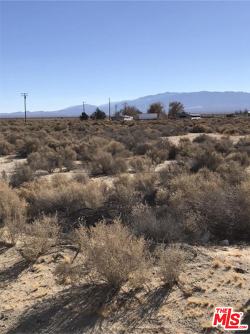 MLS #25485509 image #10