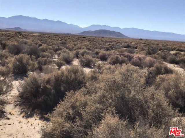 MLS #25485509 image #11