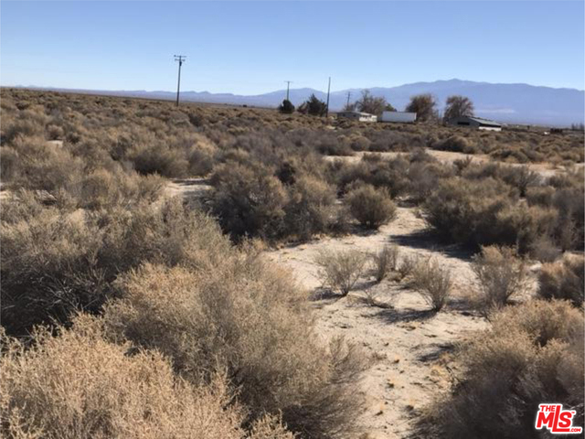 MLS #25485509 image #12