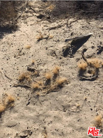 MLS #25485509 image #13