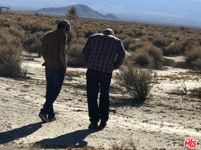 MLS #25485509 image #3