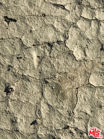 MLS #25485509 image #4