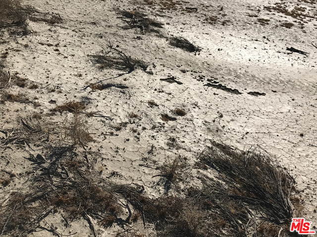 MLS #25485509 image #5