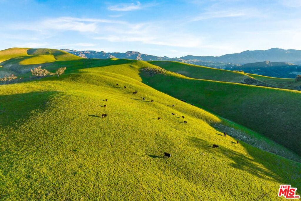 MLS #25500563 image #33