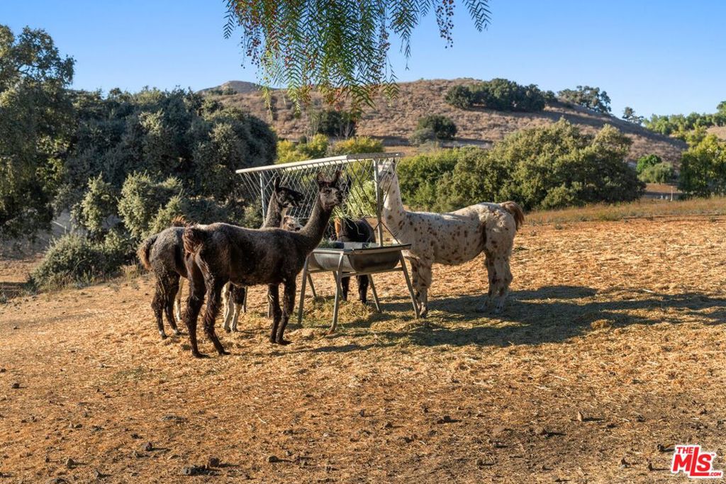 MLS #25500563 image #42