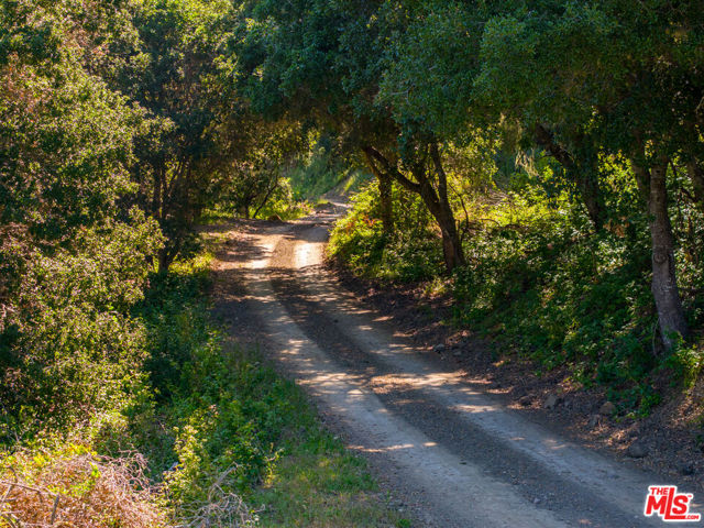 MLS #25501163 image #11