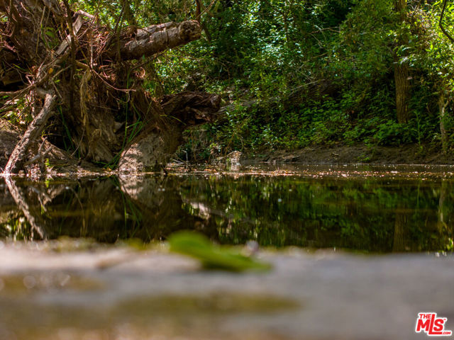 MLS #25501163 image #13