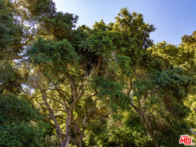 MLS #25501163 image #14