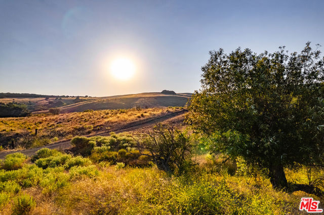 MLS #25501163 image #21