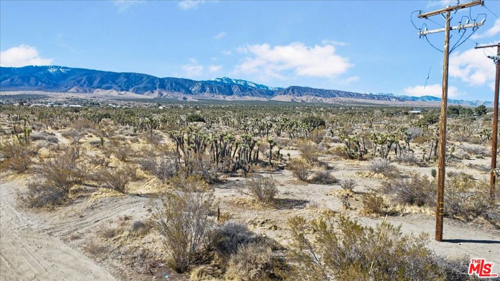 MLS #25504843 image #1