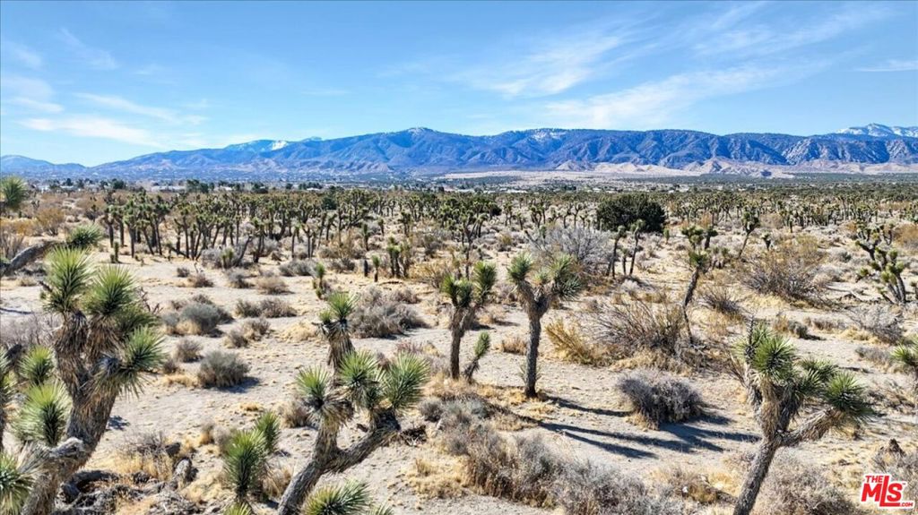 MLS #25504843 image #2