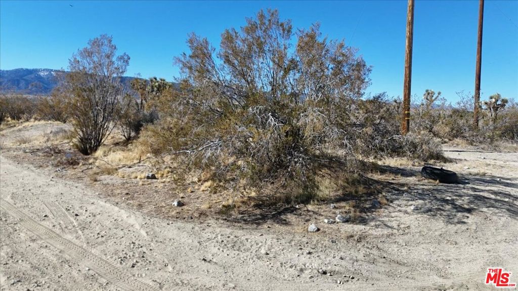 MLS #25504843 image #8