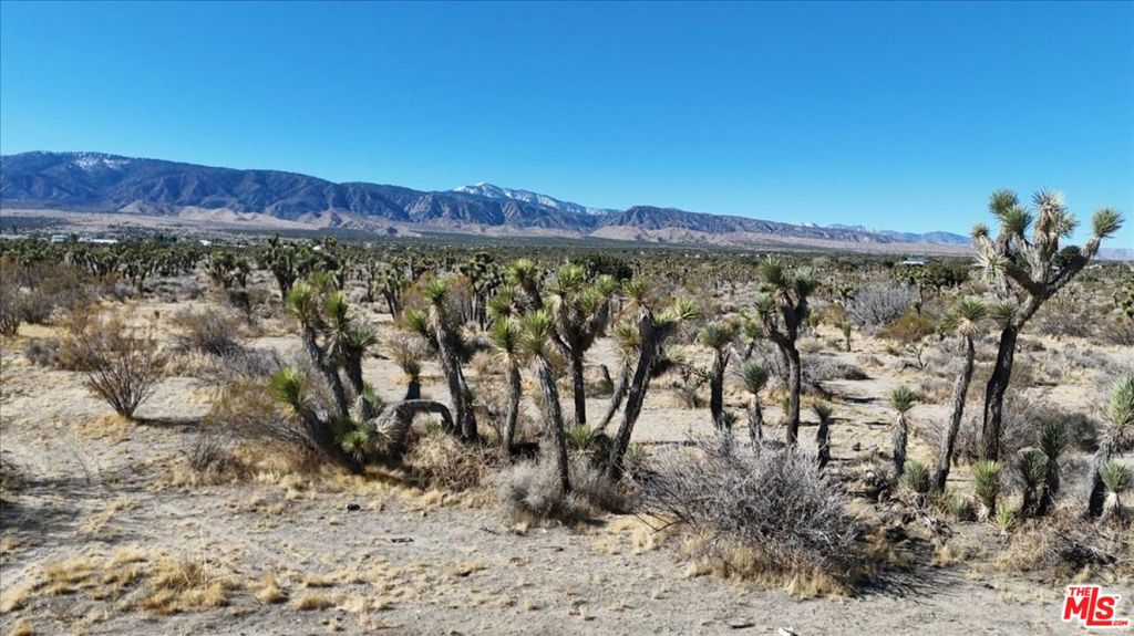 MLS #25504843 image #9