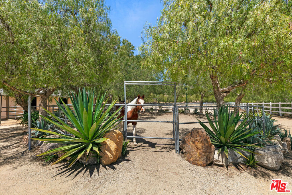 MLS #25553301 image #28