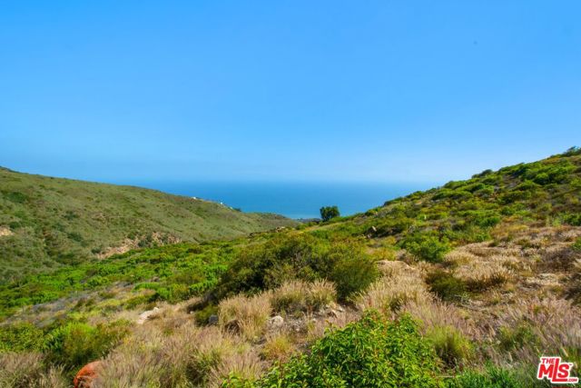 MLS #25555671 image #51