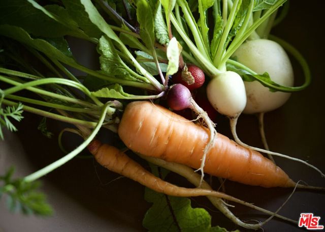 MLS #25559465 image #19