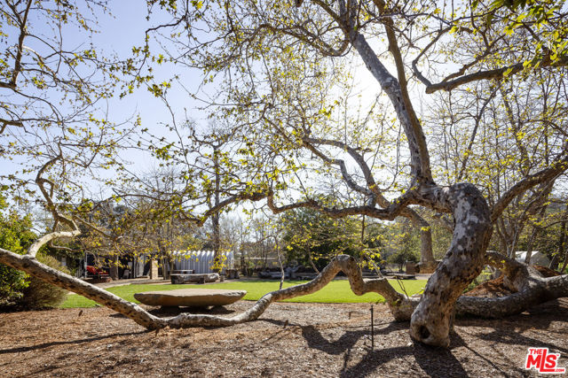 MLS #25559465 image #25