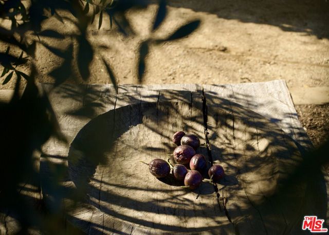 MLS #25559465 image #29