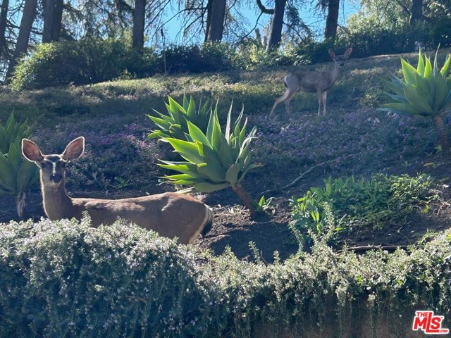 MLS #25560335 image #18