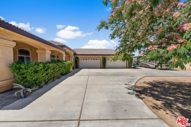 MLS #25562619 image #5