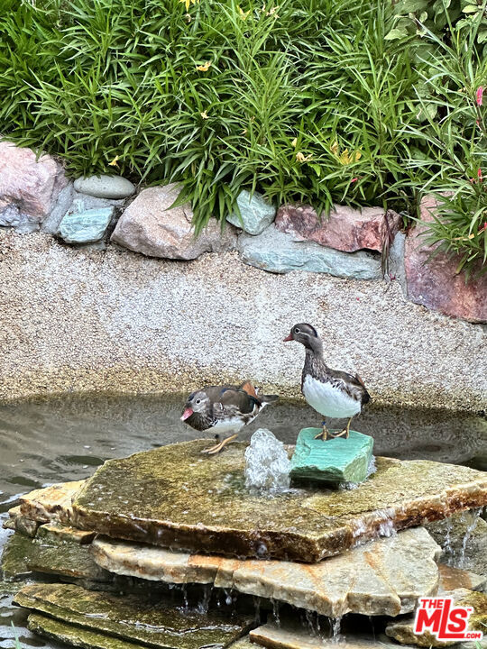 MLS #25562753 image #54