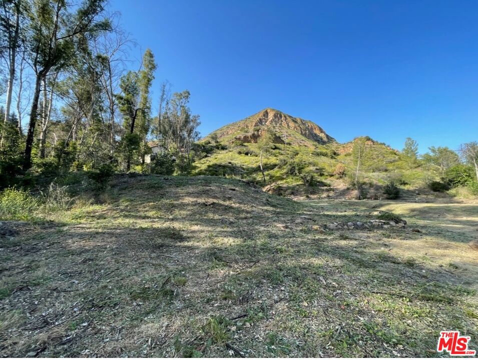 MLS #25570105 image #5