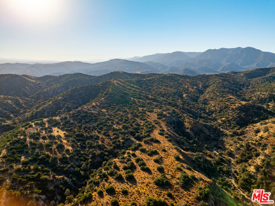 MLS #25570789 image #10