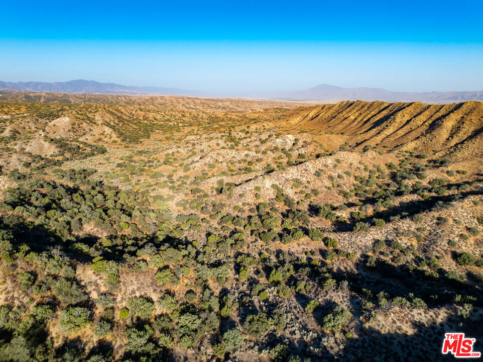 MLS #25570789 image #12