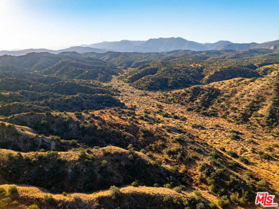 MLS #25570789 image #15