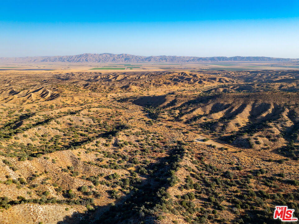 MLS #25570789 image #2