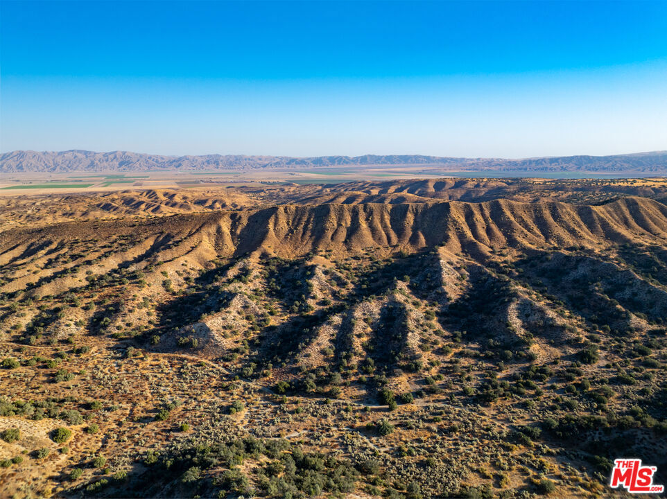 MLS #25570789 image #6