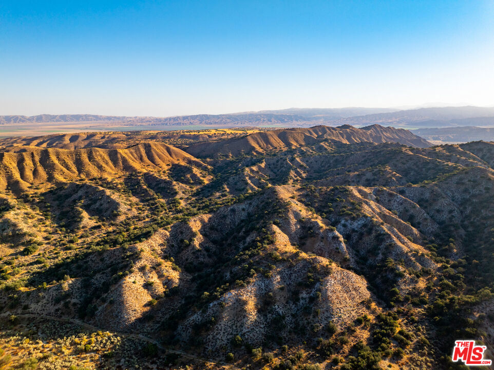 MLS #25570789 image #9