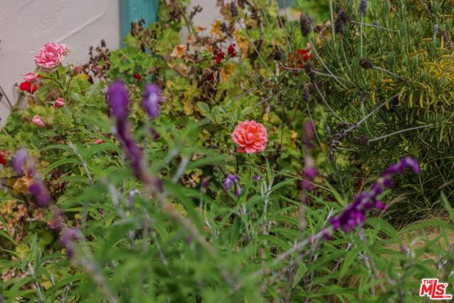 MLS #25578105 image #49