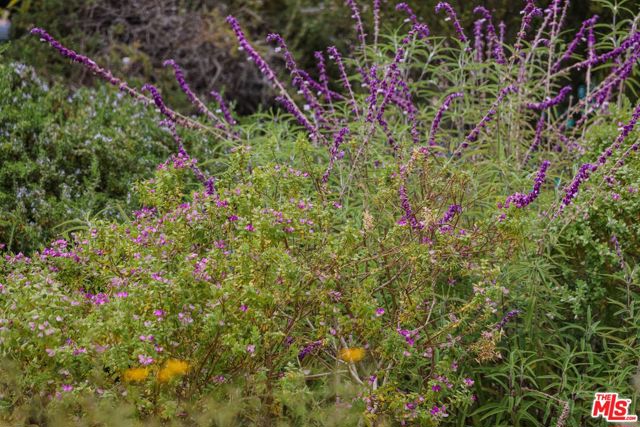 MLS #25578105 image #51